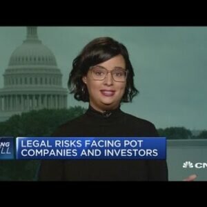 2018 a ‘banner three hundred and sixty five days’ when it involves federal legalization of marijuana, attorney says